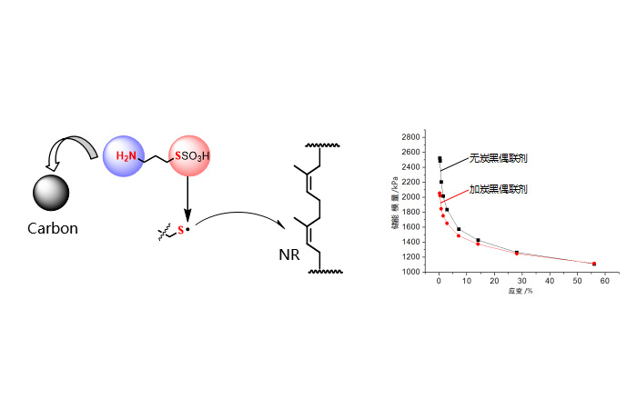 w88win优德(中国)官方网站